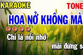 Hoa Nơ Không Màu Karaoke