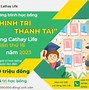 Học Bổng Hỗ Trợ Ctu 2025 Tphcm Mới